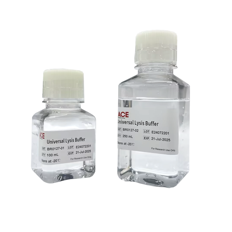 Universal Lysis Buffer(通用裂解液)