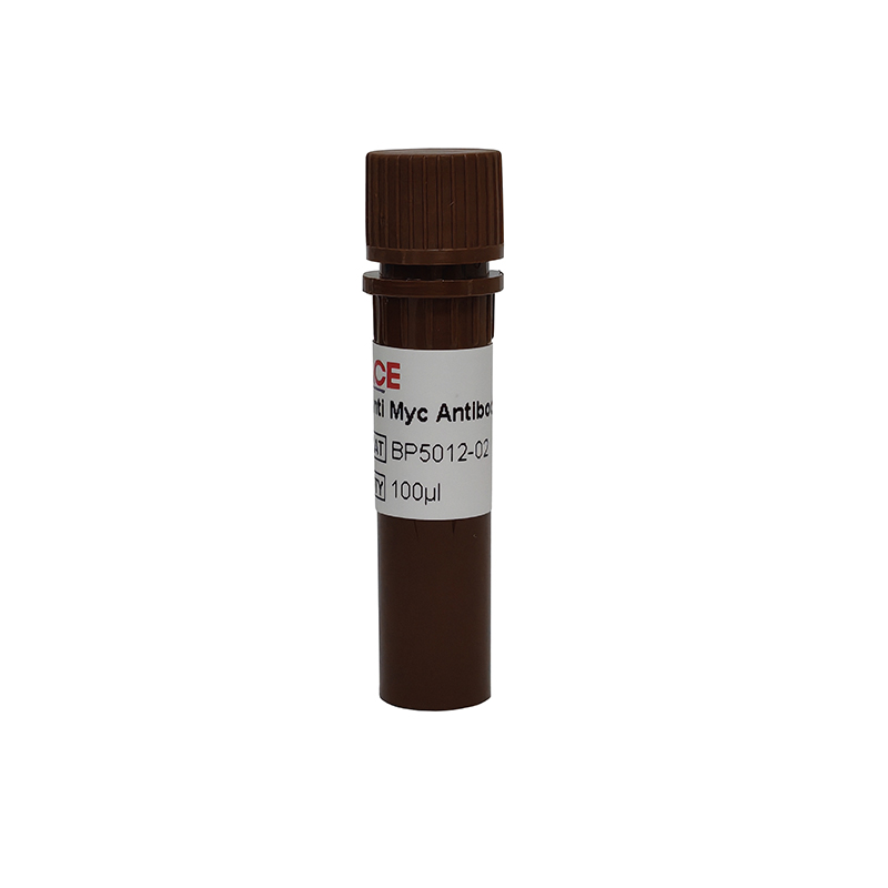 Anti Myc Antibody-HRP