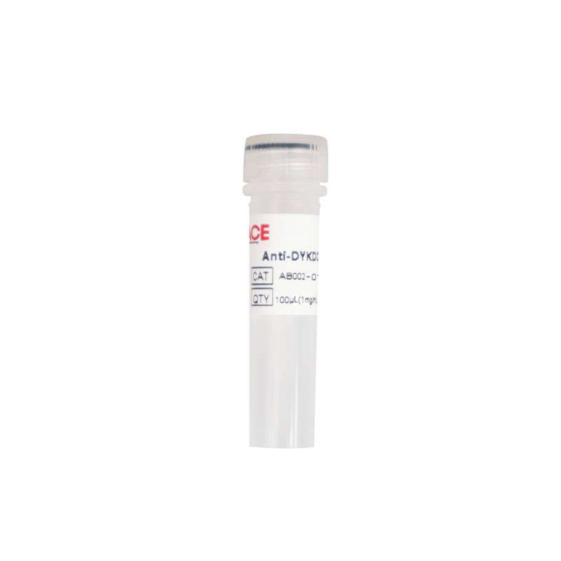 Anti-DYKDDDDK Antibody