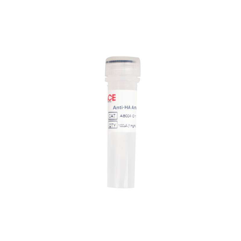 Anti-HA Antibody
