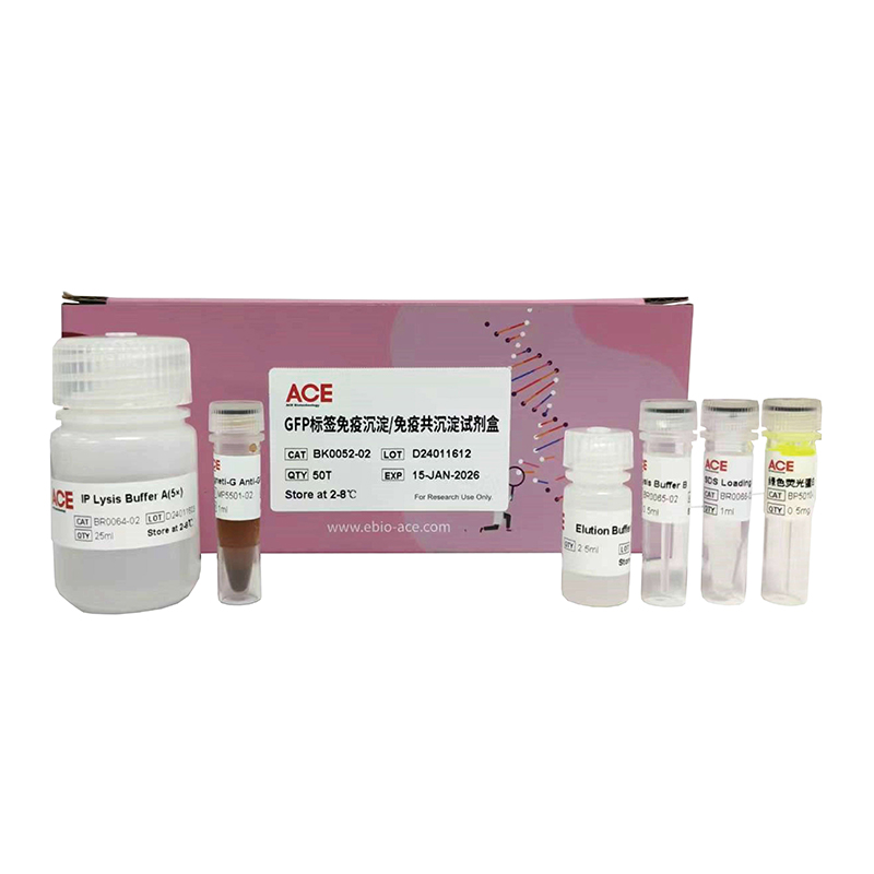 Magneti-G GFP 标签免疫沉淀/免疫共沉淀试剂盒