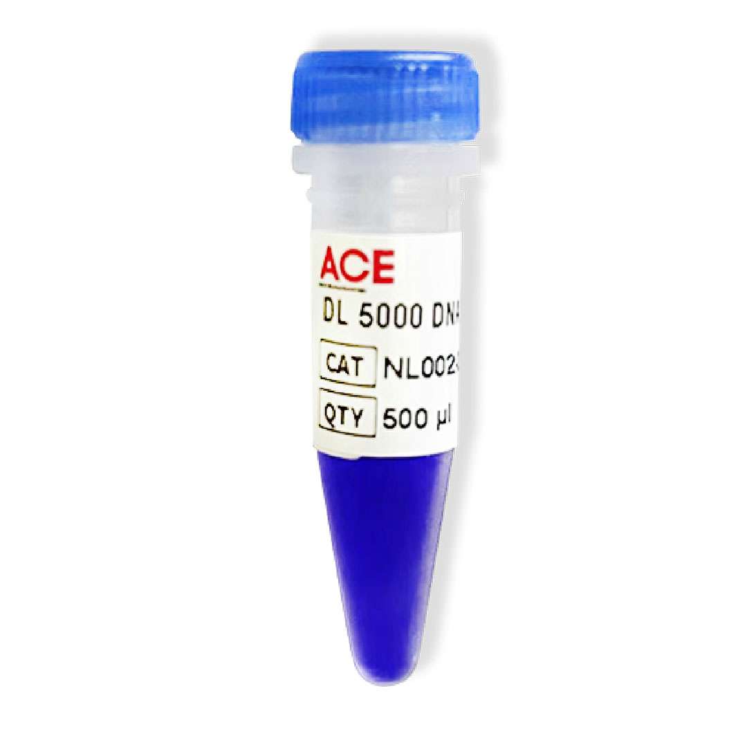 DL5000 DNA Marker