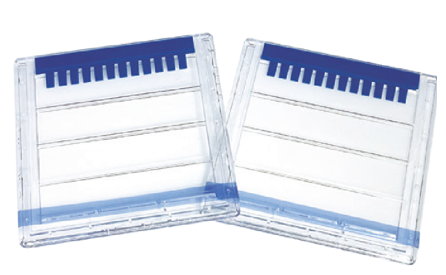 UltraPAGE蛋白预制胶