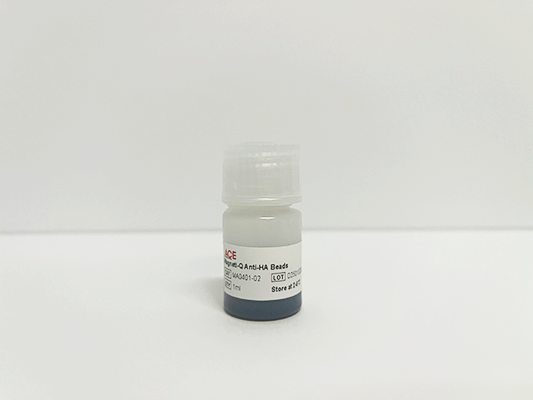 Magneti-Q Anti-HA Beads