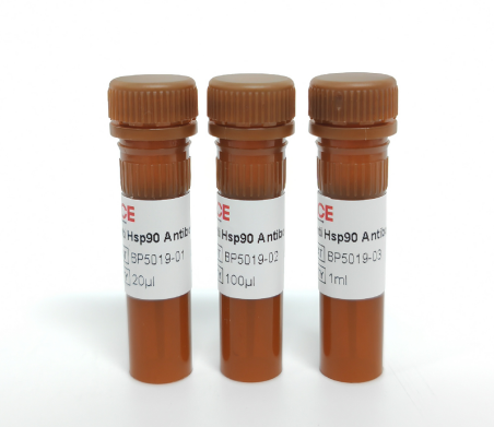 Anti Hsp90 Antibody-HRP(全细胞内参抗体)