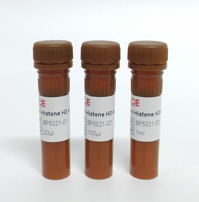Anti Histone H3 Antibody-HRP(细胞核内参抗体)