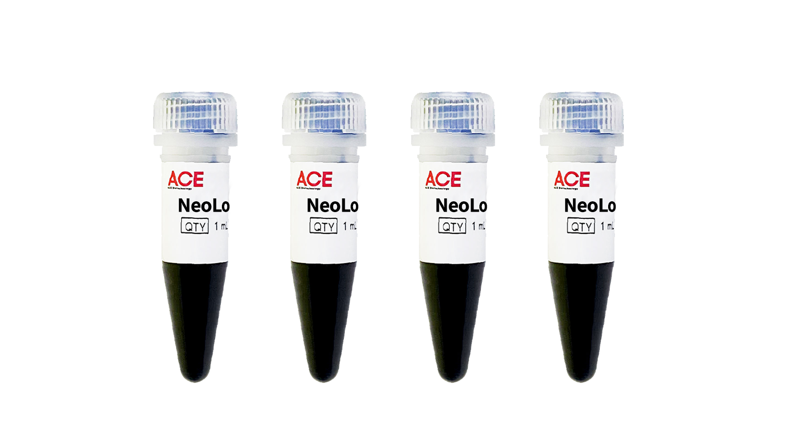 NeoLoad™通用型蛋白上样缓冲液（5×）