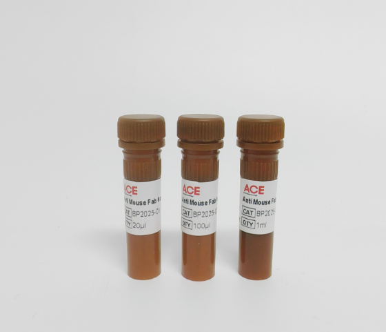 Anti Mouse Fab Nanobody-HRP For IP