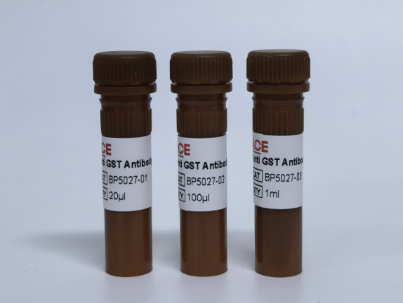 Anti GST Antibody-HRP