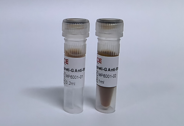 Magneti-G Anti-Strep-tag II Beads