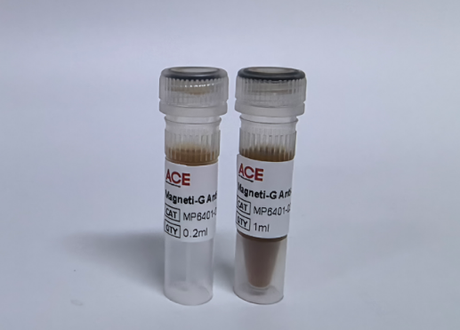Magneti-G Anti-MBP Beads