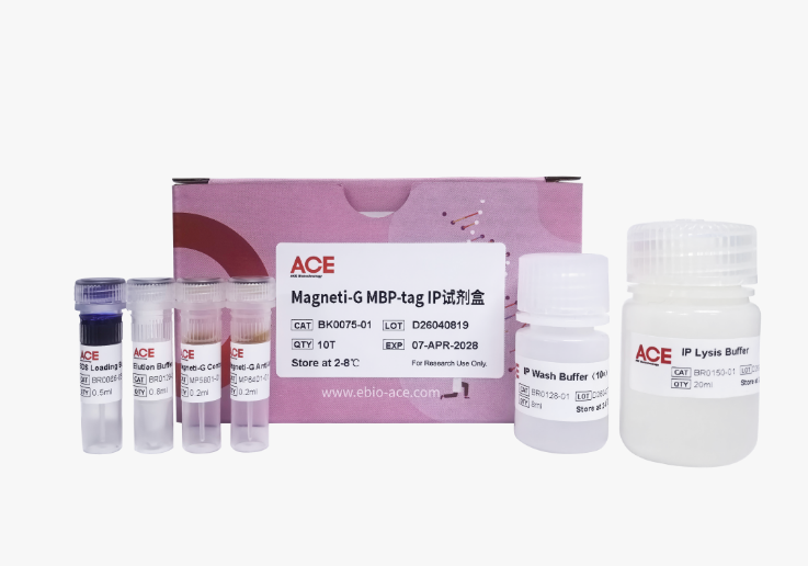 Magneti-G MBP-tag IP试剂盒