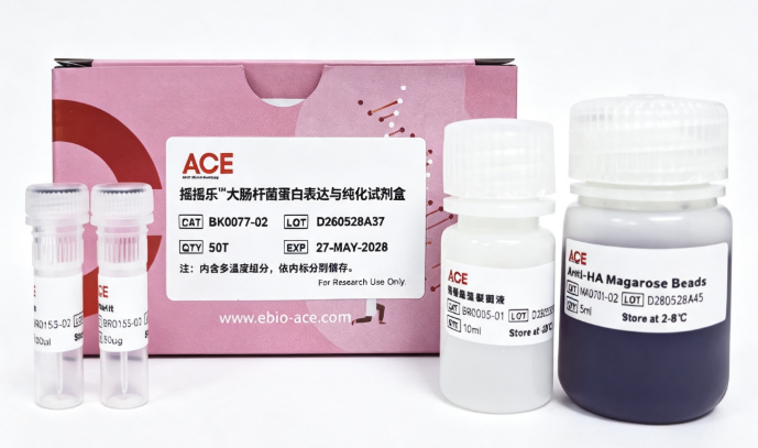 摇摇乐™大肠杆菌蛋白表达与纯化试剂盒