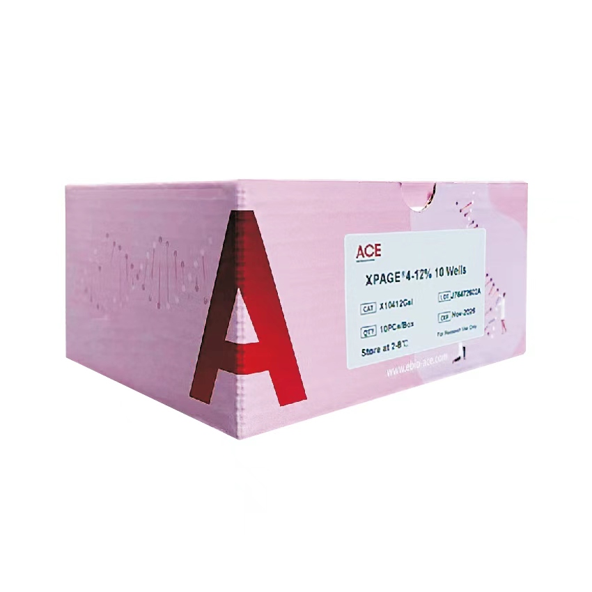 XPAGE ®蛋白预制胶