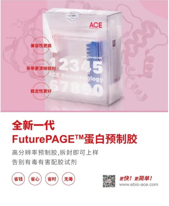 新品发布 | 全新一代FuturePAGE™蛋白预制胶隆重上市插图