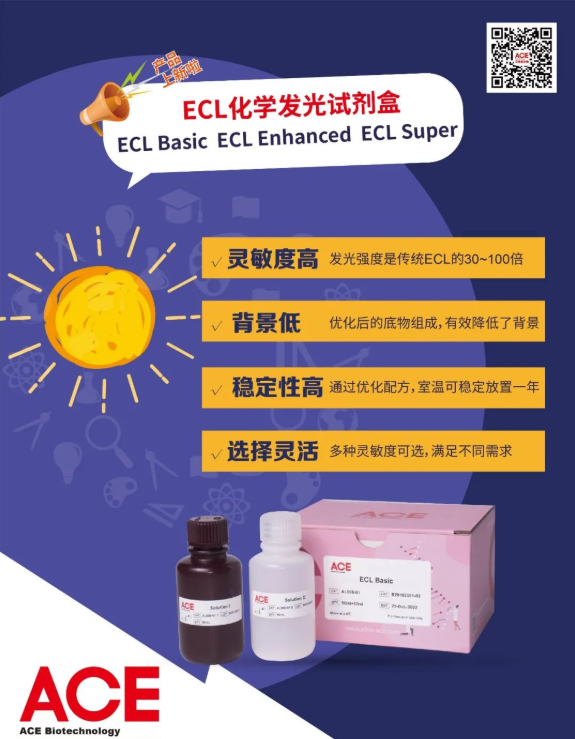 ACE产品介绍 | ECL化学发光试剂盒插图