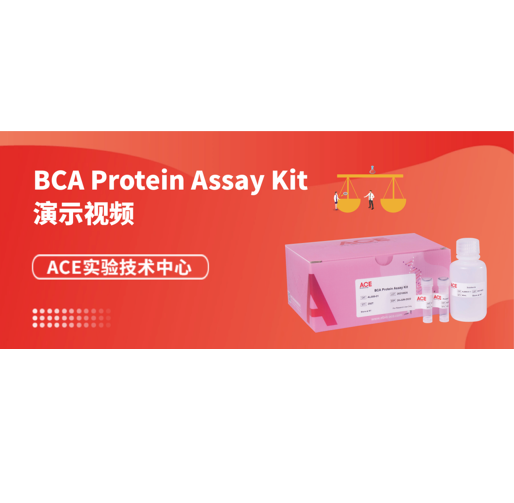 ACE实验技术中心 | BCA Protein Assay Kit演示视频缩略图