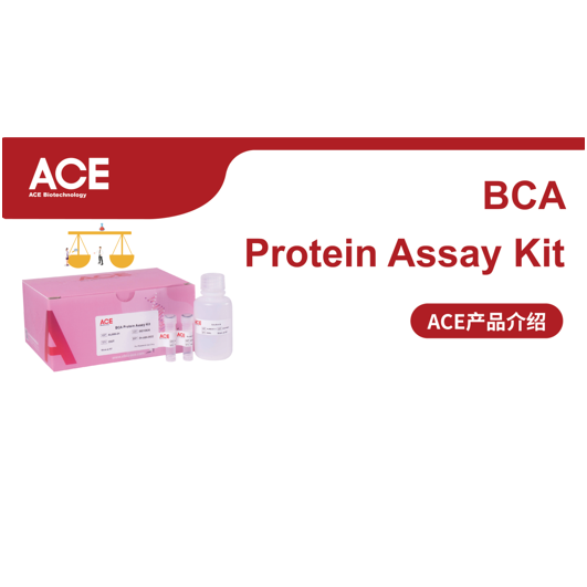 ACE产品介绍 | BCA Protein Assay Kit缩略图
