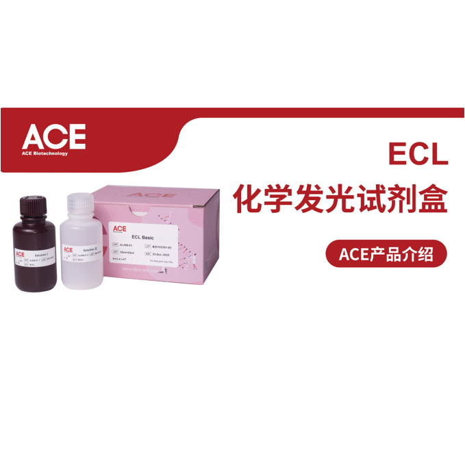ACE产品介绍 | ECL化学发光试剂盒缩略图