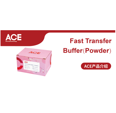 ACE产品介绍 | Fast Transfer Buffer（Powder）缩略图