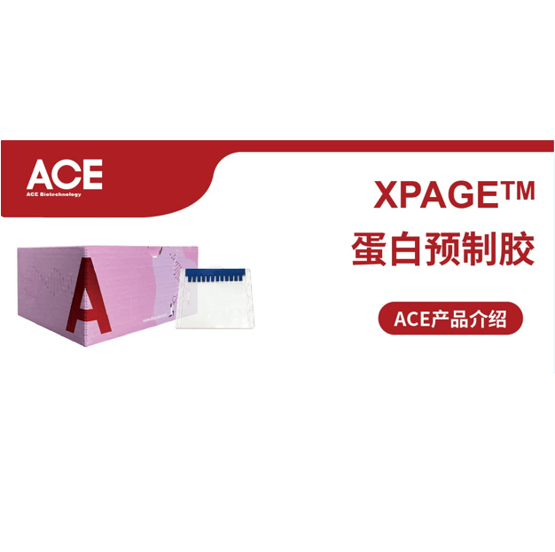 ACE产品介绍 | XPAGE™ 蛋白预制胶缩略图
