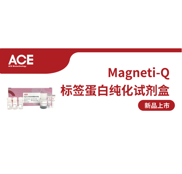 ACE产品介绍 | Magneti-Q 标签蛋白纯化试剂盒缩略图